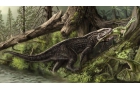 恐龙的祖先是什么，槽齿类动物为什么没有进化出文明
