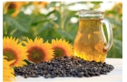 公认最健康的三种食用油，葵花籽油，山茶油、橄榄油三种植物油